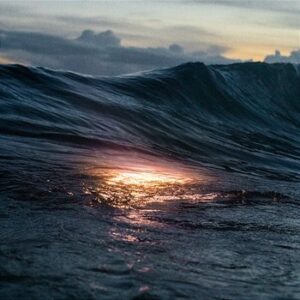 The Belonging Co - The Joy